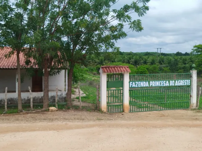 FAZENDA PRINCESA DO AGRESTE - À VENDA 138,4 HA | SÃO LUÍS DO CURU - CE
