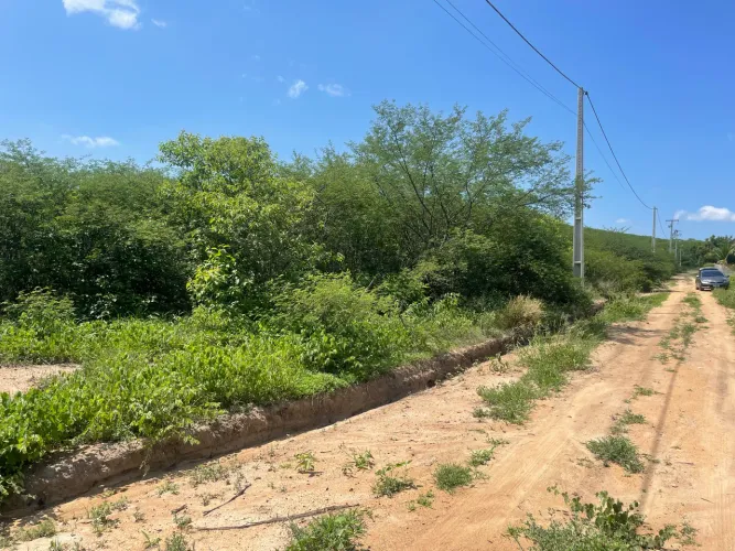 Terreno as margens da br232, sentido Serra Talhada lado direito 