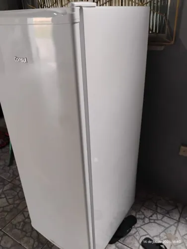Freezer vertical