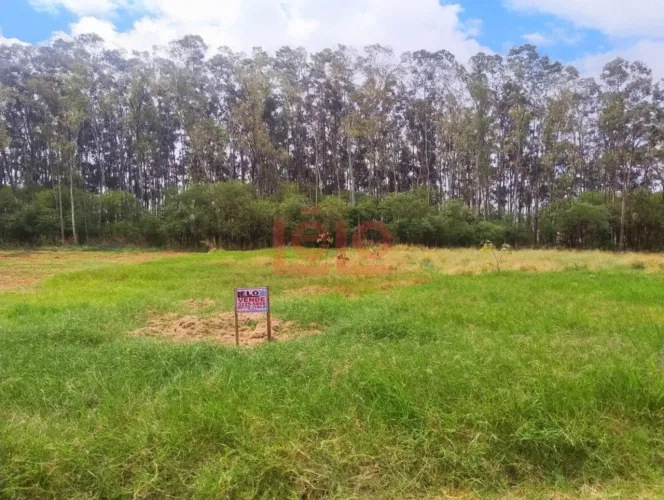 Villa Verde / Terra Bella / Chacara / terreno / Rodovia Deputado Silvio Barros