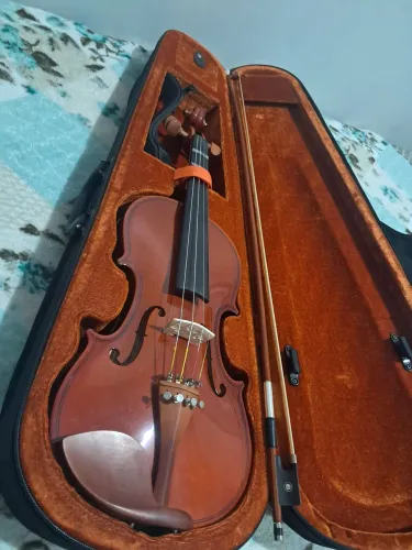 Violino