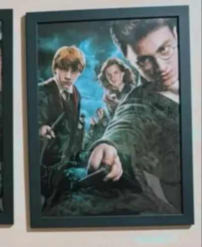 Quadro harry potter e a ordem dá fênix