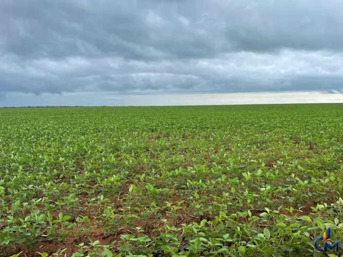 Fazenda em Querencia