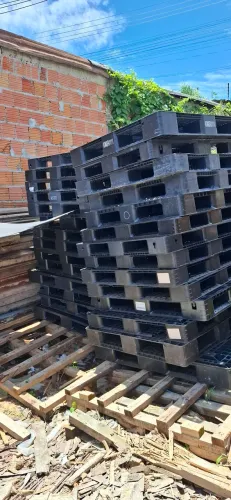 Paletes de plástico 