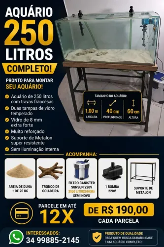 Aquário 250 litros