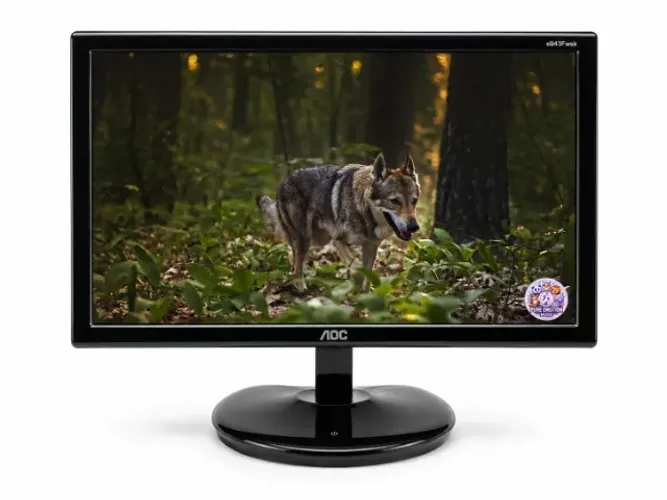 Monitor AOC 19 Polegadas e943Fwsk LED VGA