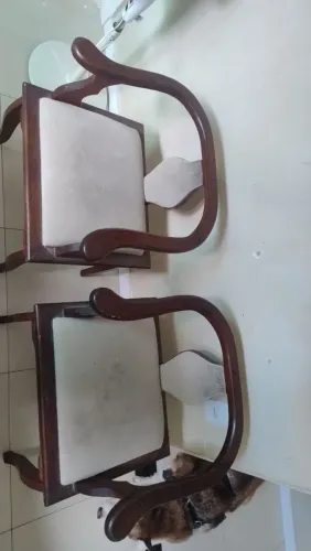 Cadeiras Decorativas