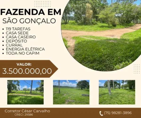 FAZENDA EM SÃO GONÇALO - 119 TAREFAS