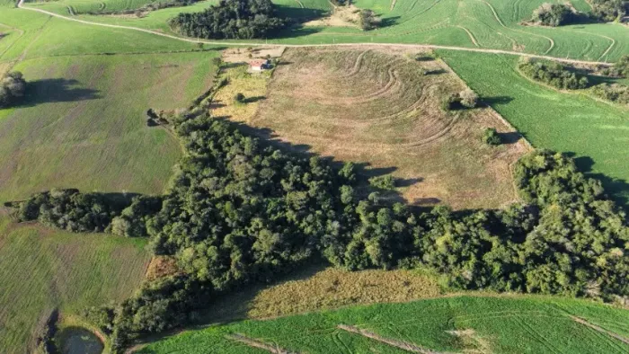 Lindo Sitio com 8 hectares na região de Itapetininga - 190km de São Paulo !!!