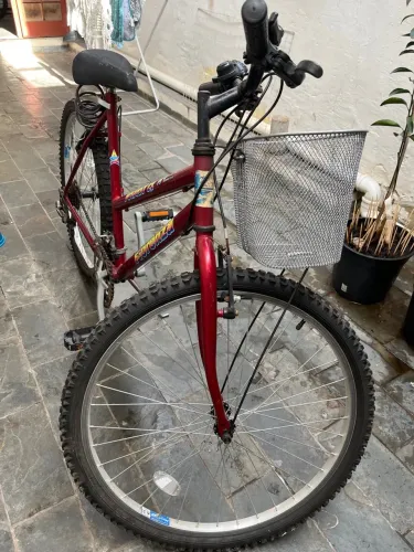 Bicicleta