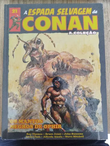 A espada selvagem de conan 21