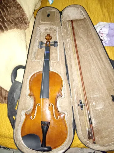 Violino