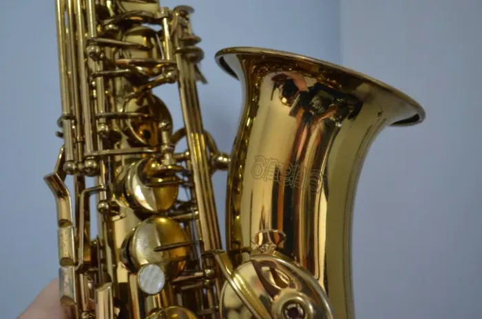 Saxofone Alto Mi Bemol Arena ((( Profissional  )))