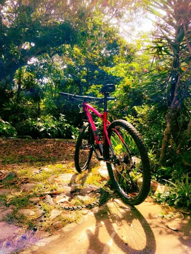 Bicicleta mountain bike MTB TSW