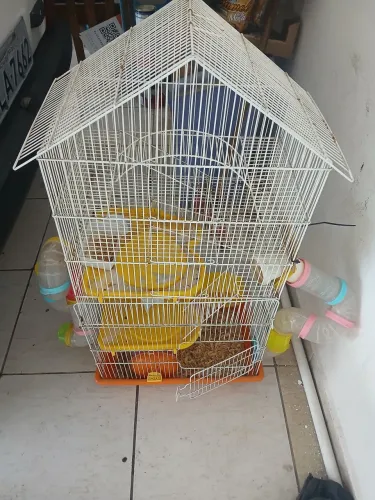 gaiola de hamster 5 andares 