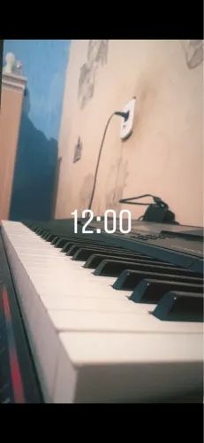 Teclado Casio profissional 