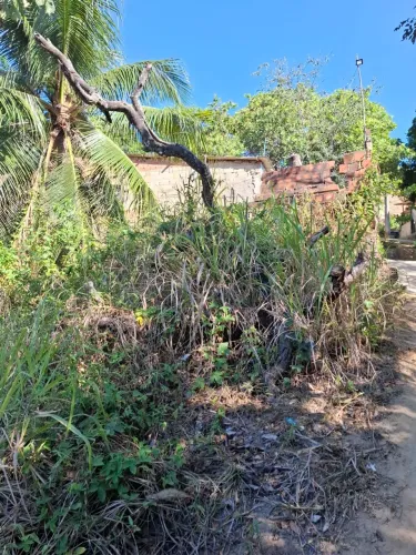 TERRENO EM GUAXUMA/MACEIO