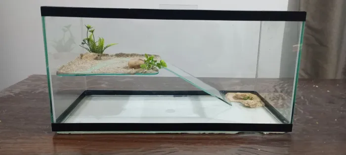 Terrário/Aquaterrário para Tartaruga 40x20 cm em Vidro