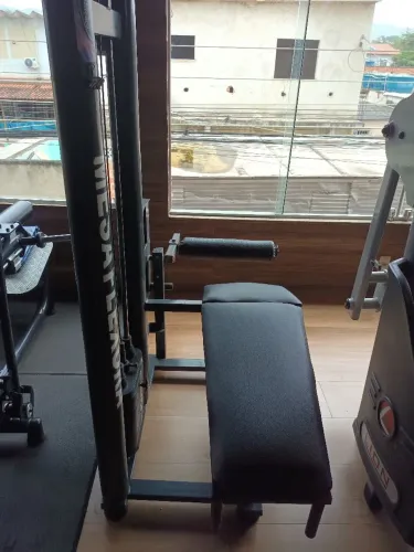 Mesa flexora