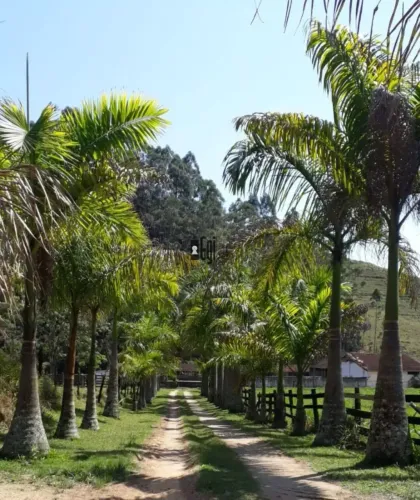 Imóvel para venda com 3170000 metros quadrados com 9 quartos em Zona Rural - Rio Preto - M