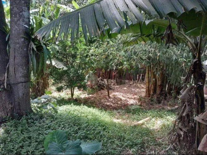 Chácara com 2 dormitórios à venda, 1200 m² por R$ 650.000,00 - Cidade Recreio da Borda do