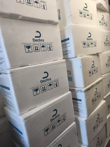 caixa de isopor 50 litros