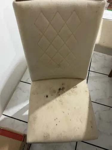 Higienização de estofados a seco