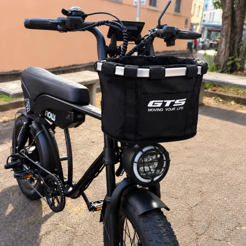 Cesta GTS removível de bike elétrica