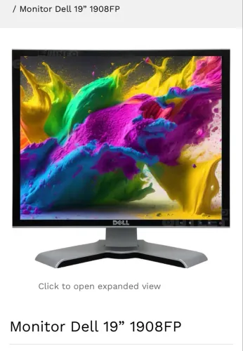 Monitor Dell19