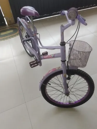Bicicleta aro 20 feminina cor roxa