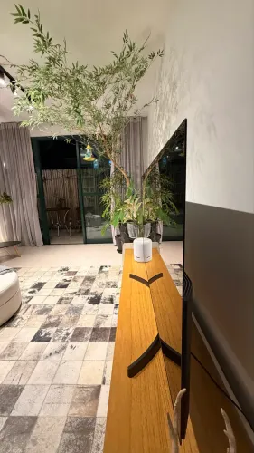 Televisão