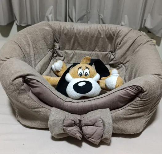 Cama para pet