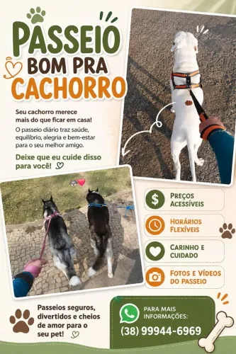 Passeio para cães!