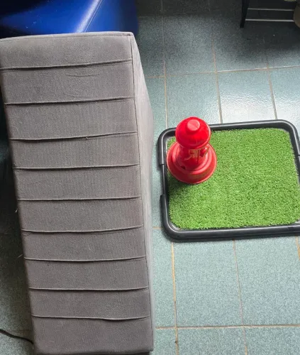 Rampa e sanitário pet