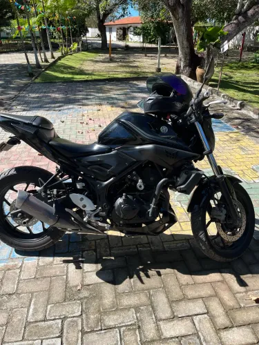 MT 03