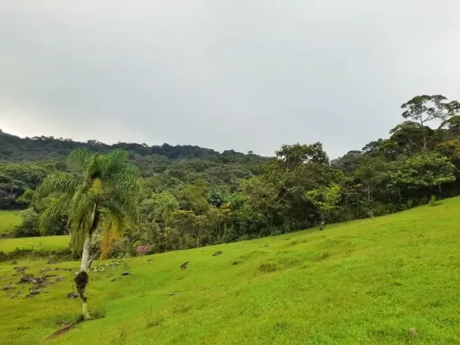 Sítio 20,9 Hectares, Casa Velha, Riacho, Pastagem, Barro Branco, São Pedro De Alcântara