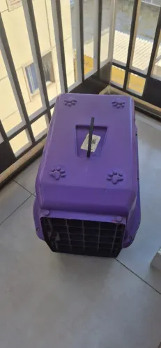 CAIXA DE TRANSPORTE PARA PET