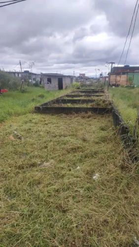 Terreno na fazendinha