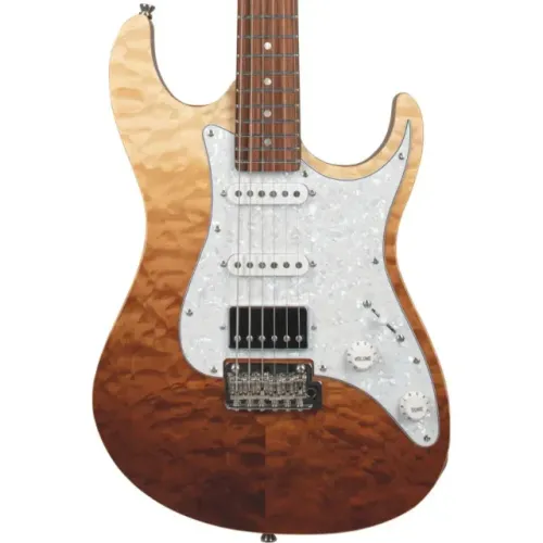 Guitarra Tagima Stella DW + amplificador