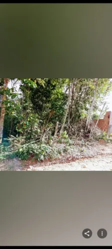 TERRENO NO VILA VERDE/TARUMÃ