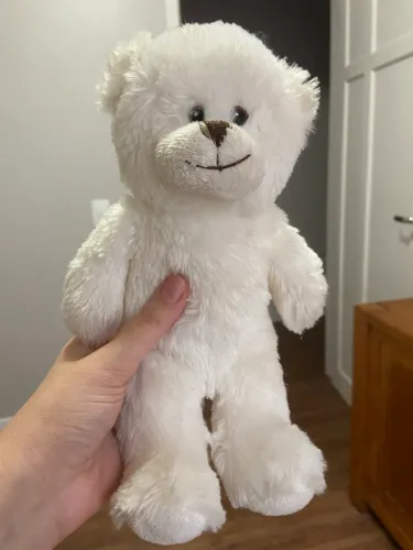 Urso branco