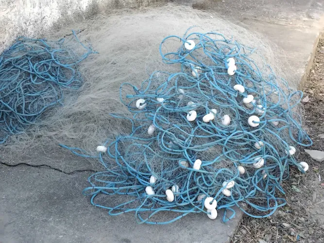 Rede pesca camarâo