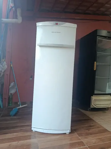 Freezer vertical zap *