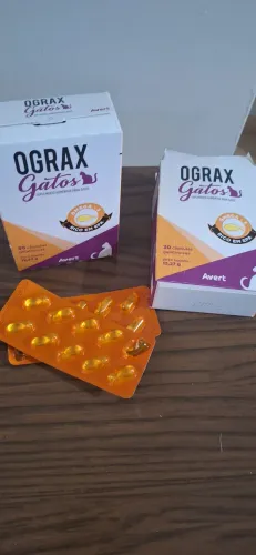 Ograx gatos renal