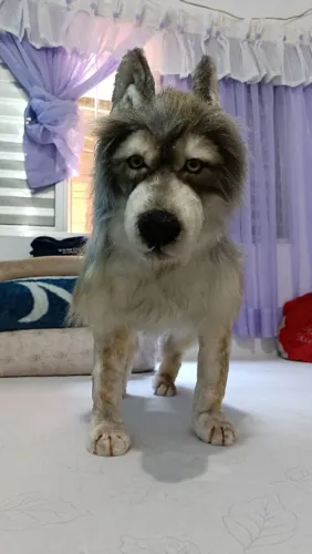 Cachorro 3D feito a mão