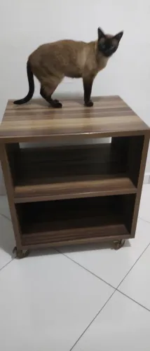 Rack rodinha e trava duplo lado