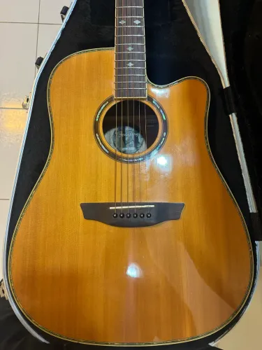 Strinberg EAF-81C + Hard Case Original Strinberg - Excelente Estado