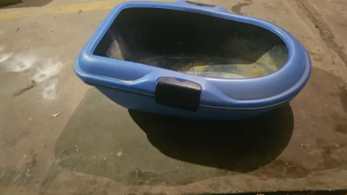Caixa higiênica Gatos