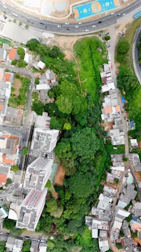 Lote / Terreno em Brotas - Salvador
