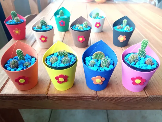 Cacto  Mini jardins com 3 cactos diferentes 